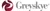 Greyskye Marketing Consultants LLC logo