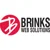 Brinks Web Solutions logo